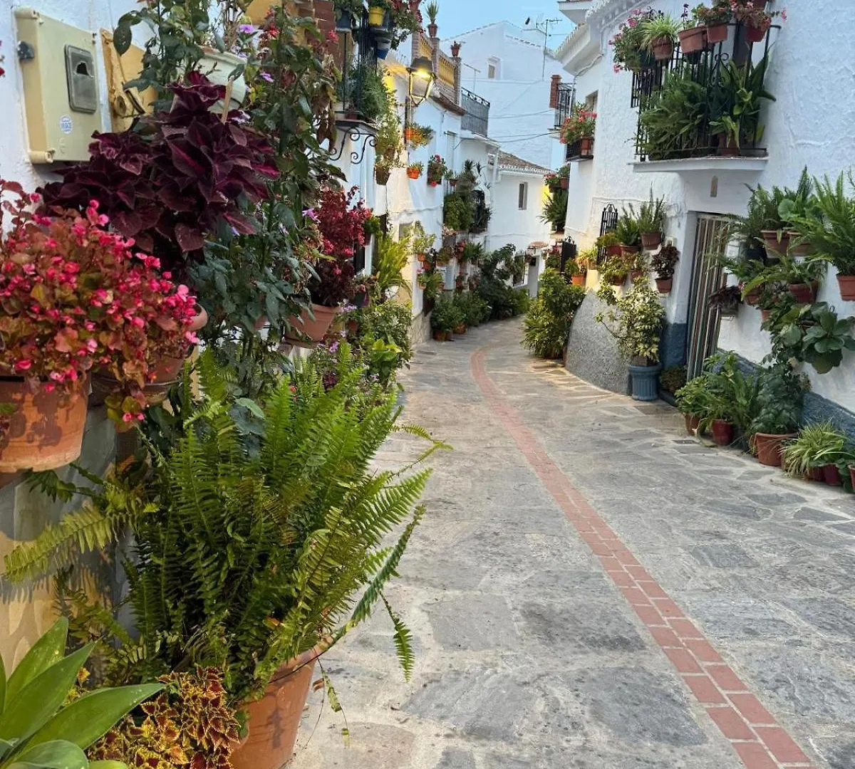 La Covacha - Unique Town House With Exclusive Pool And Garden In The Heart Of The Village Canillas de Aceituno Spain